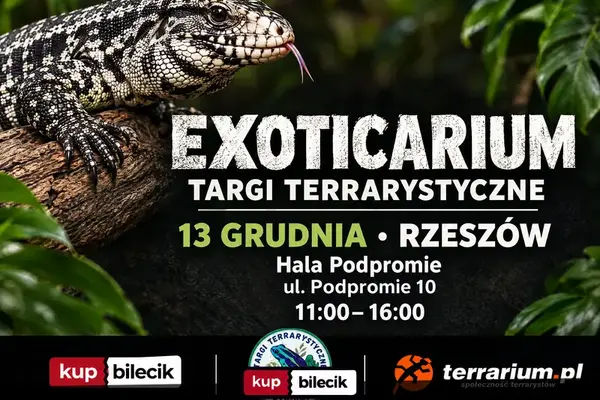Exoticarium  - Targi Terrarystyczne + Wystawa Pająków