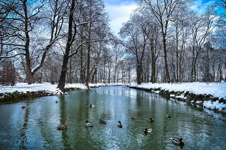 Park Szafera w zimowej scenerii