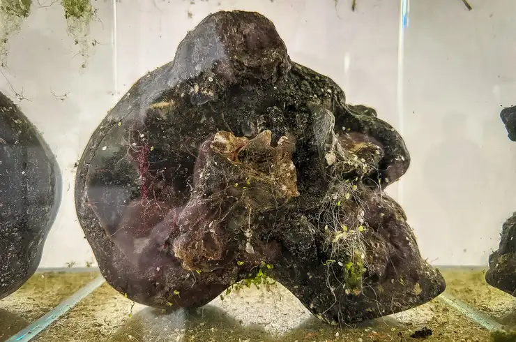 Bartosz Nalepa / DNO LASU - wystawa w BWA