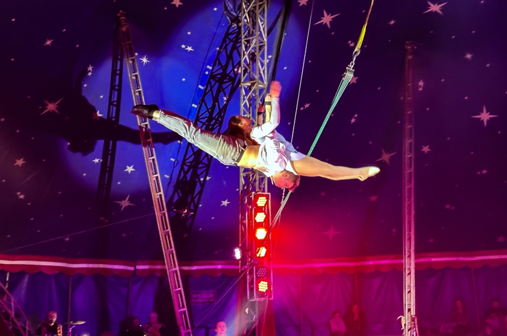 Cyrk Safari z programem "The Show Must Go On" w Rzeszowie [marzec 2026]