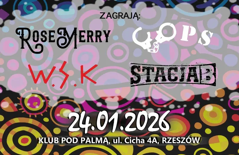 Wielki Koncert Świątecznej Pomocy w Rzeszowie