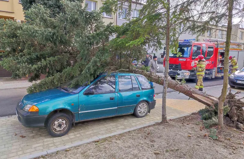 Silny wiatr na Podkarpaciu. Blisko 500 interwencji strażaków