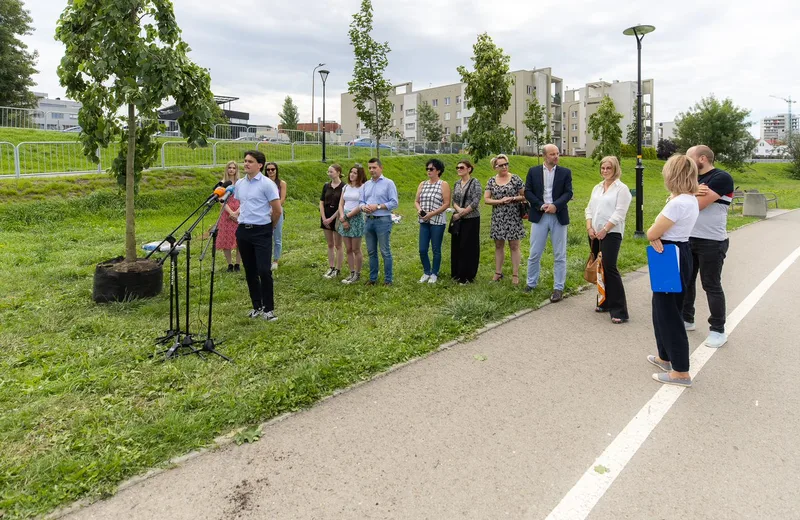 W pobliżu Wisłoka posadzono kolejne duże drzewa