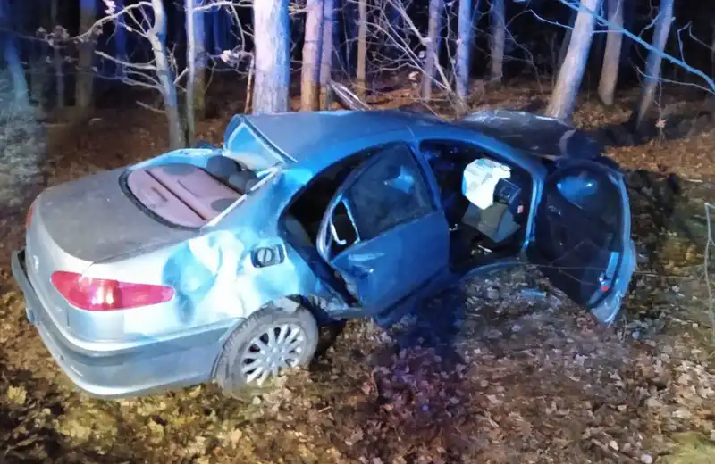 Kierowca peugeota zjechał z drogi i uderzył w drzewa. Zginął na miejscu