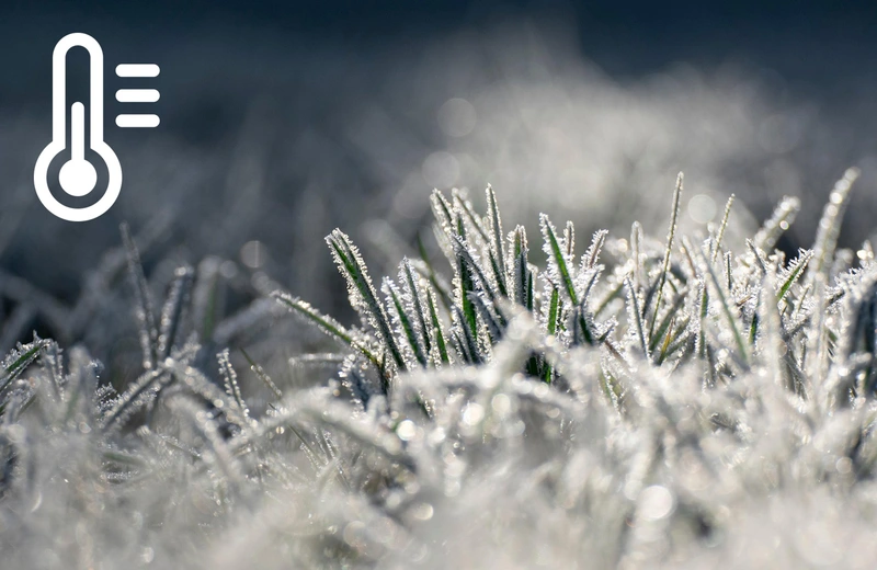 Dziś w nocy ujemne temperatury na Podkarpaciu 