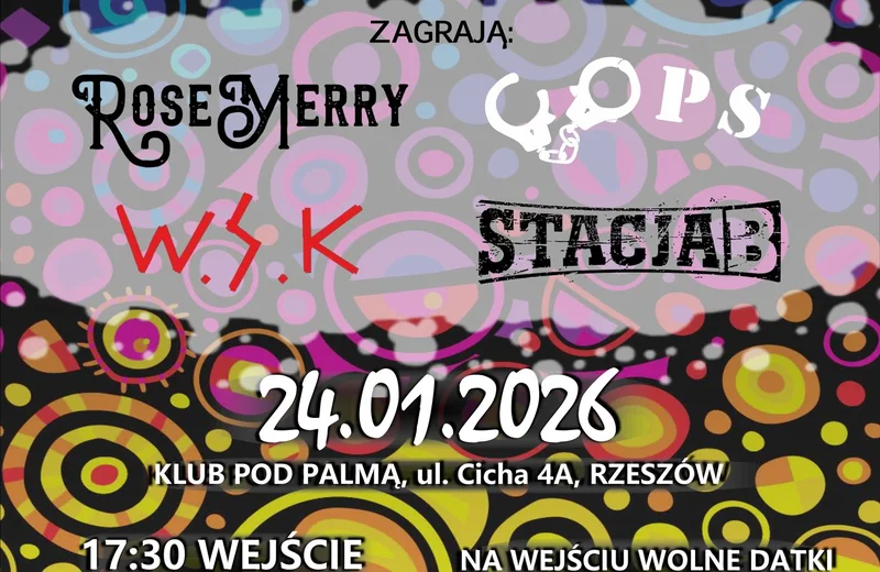 Wielki Koncert Świątecznej Pomocy w Rzeszowie