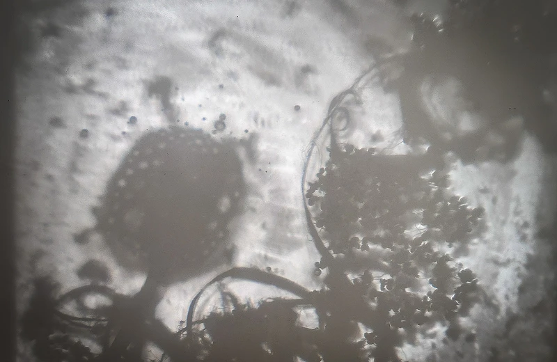 "Świecenie" – muzyczno-wizualny performance na zakończenie wystawy Bartosza Nalepy