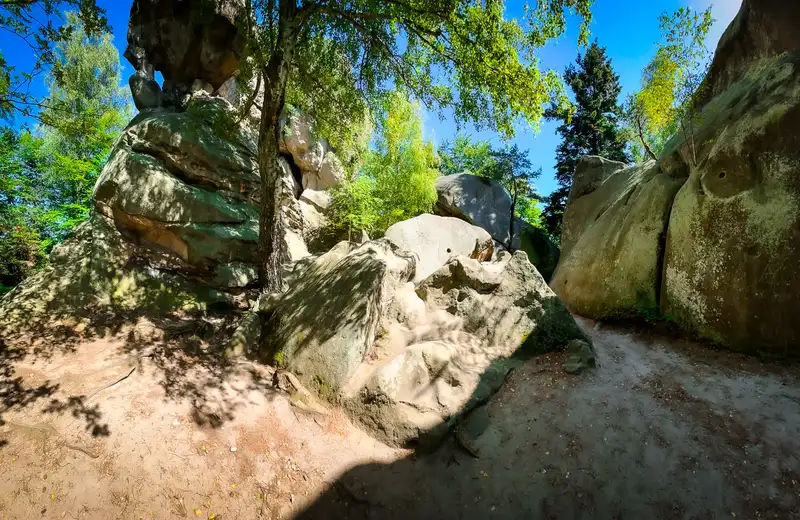 Kamienne cuda Podkarpacia. Dlaczego warto odwiedzić rezerwat Prządki?