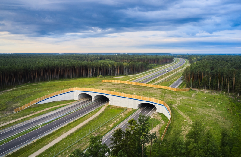 14 firm zainteresowanych wykonaniem dokumentacji dla S74 w woj. podkarpackim
