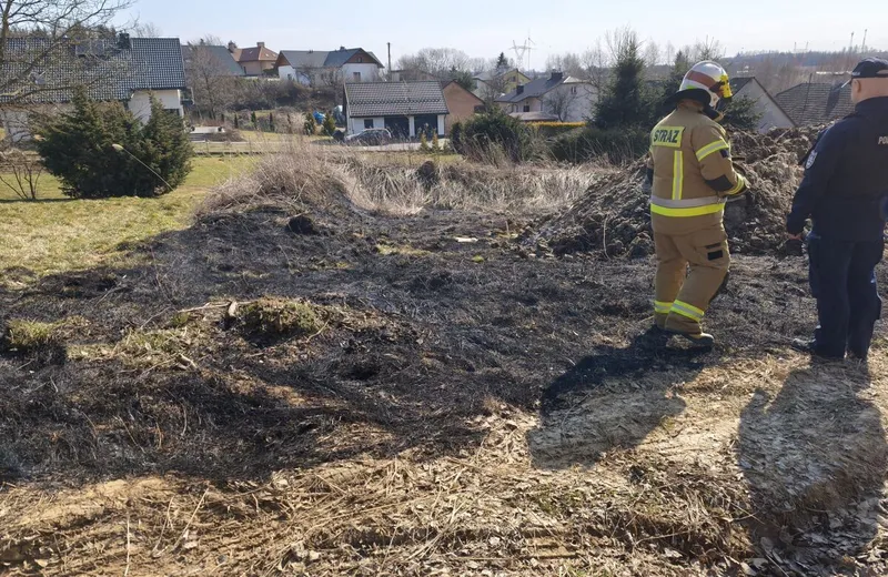 Wypalał trawę, stracił kontrolę nad żywiołem - interweniowali strażacy
