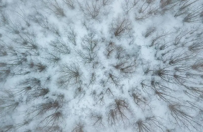 Rzeszowscy fotograficy upamiętnią Piotra Krupę. Wystawa „Z lotu ptaka" w RDK