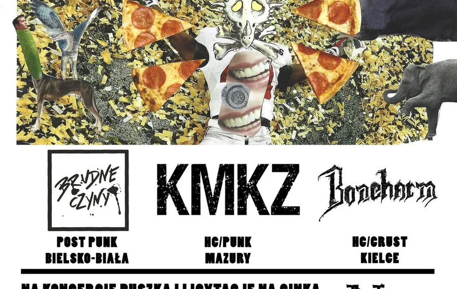 Hardcore to punk 12