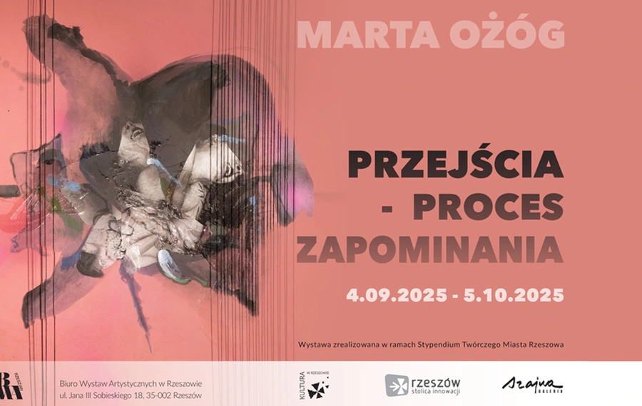 Marta Ożóg / Przejścia - proces zapomnienia