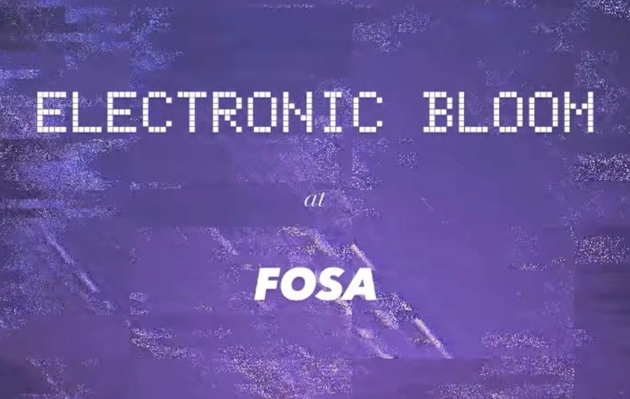 Electronic Bloom