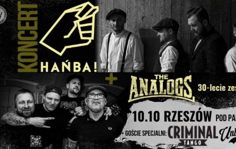 30-lecie The Analogs
