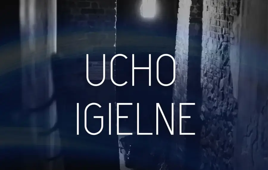 Ucho igielne