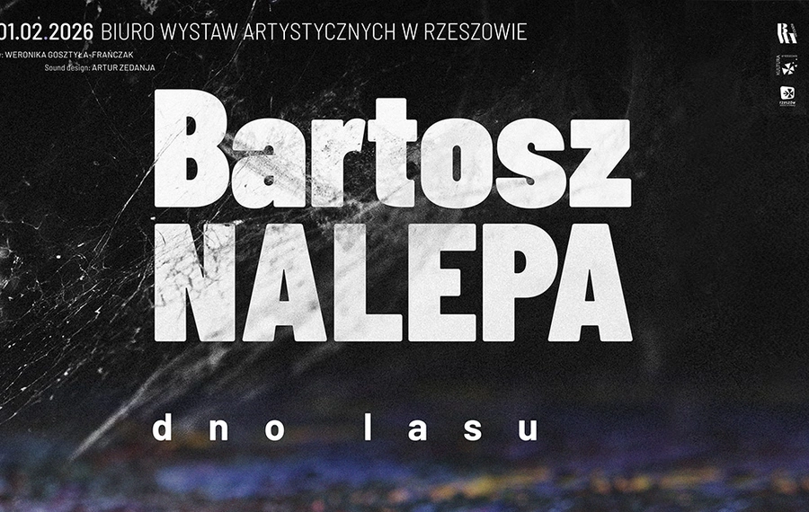Bartosz Nalepa: Dno Lasu