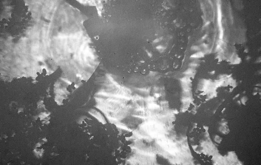 Świecenie - finisaż wystawy Bartosza Nalepy