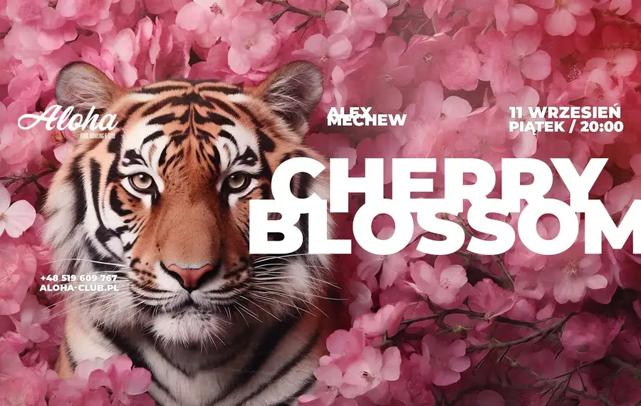 Cherry Blossom