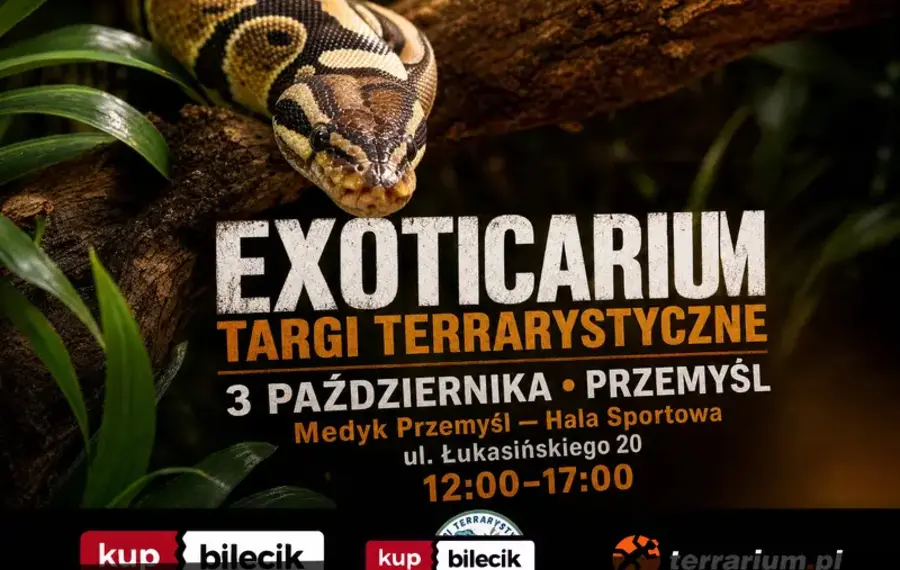 Exoticarium  - Targi Terrarystyczne + Wystawa Pająków