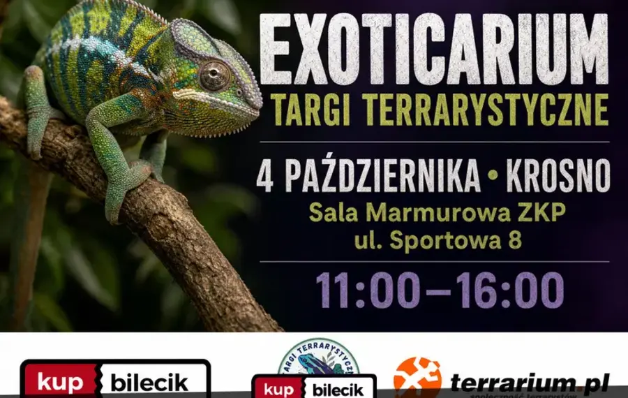 Exoticarium  - Targi Terrarystyczne + Wystawa Pająków