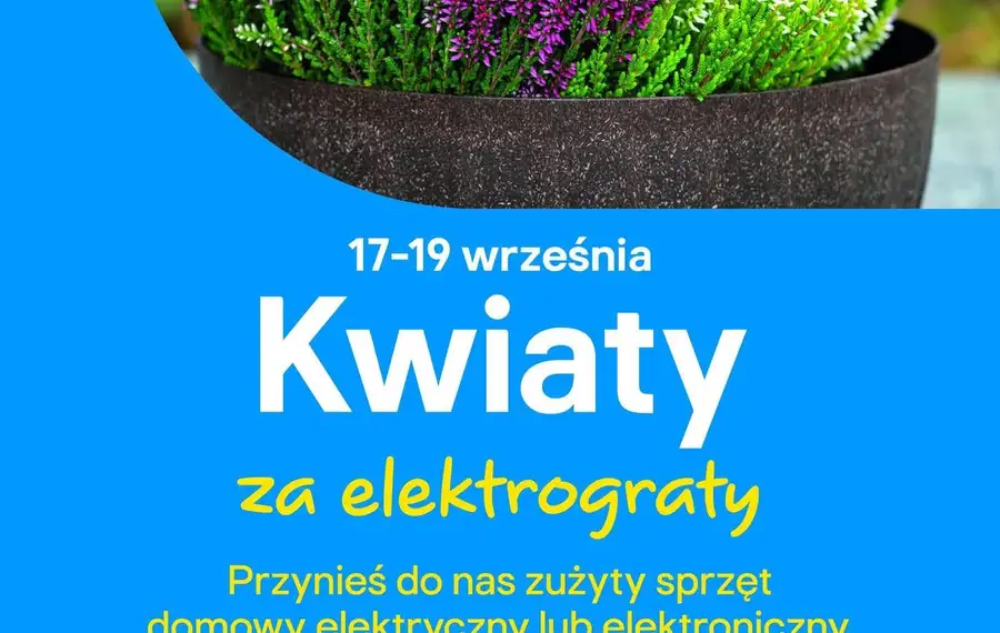 Kwiaty za elektrograty