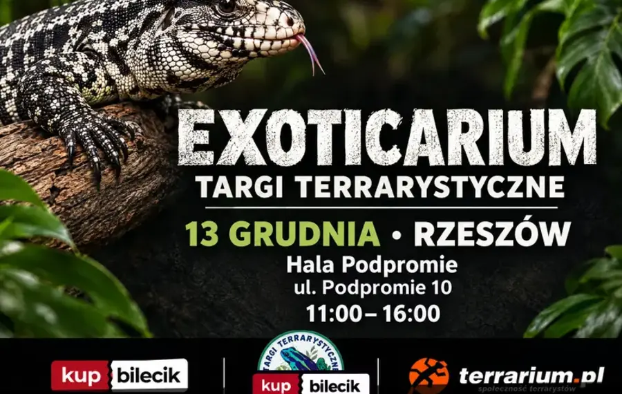 Exoticarium  - Targi Terrarystyczne + Wystawa Pająków