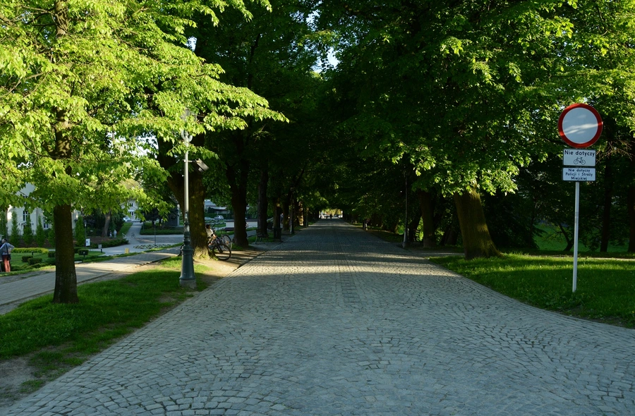 fot. ViC / RESinet.pl