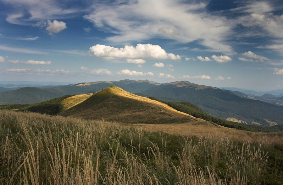 fot. nibler / FOTO.resinet.pl