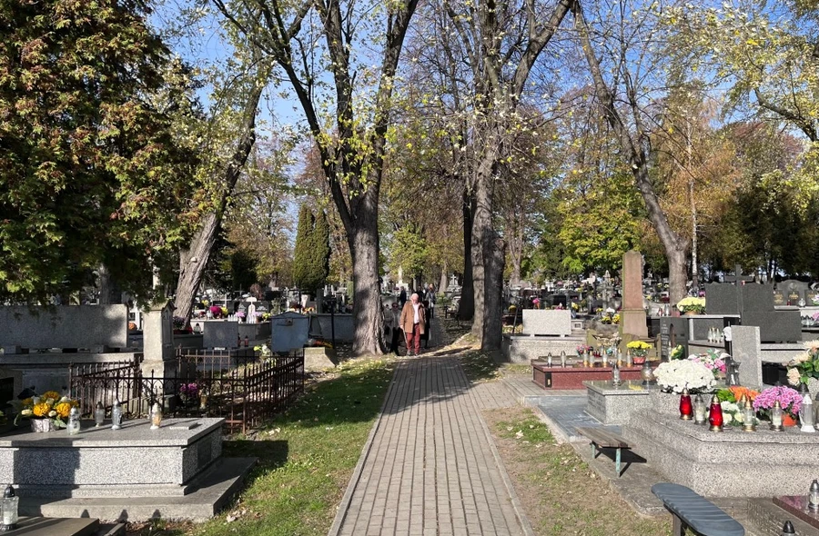 fot. Archiwum RESinet.pl