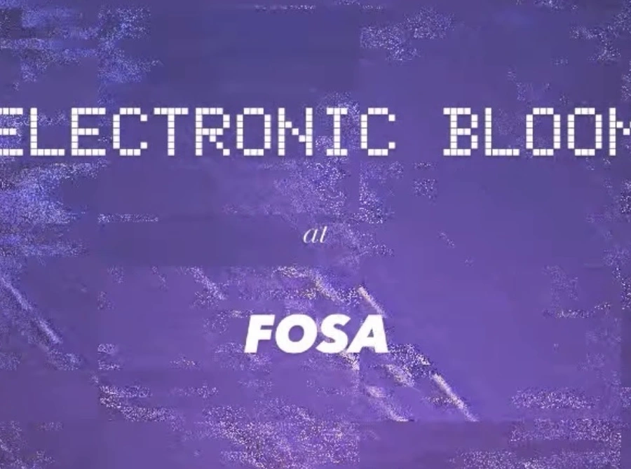 Electronic Bloom