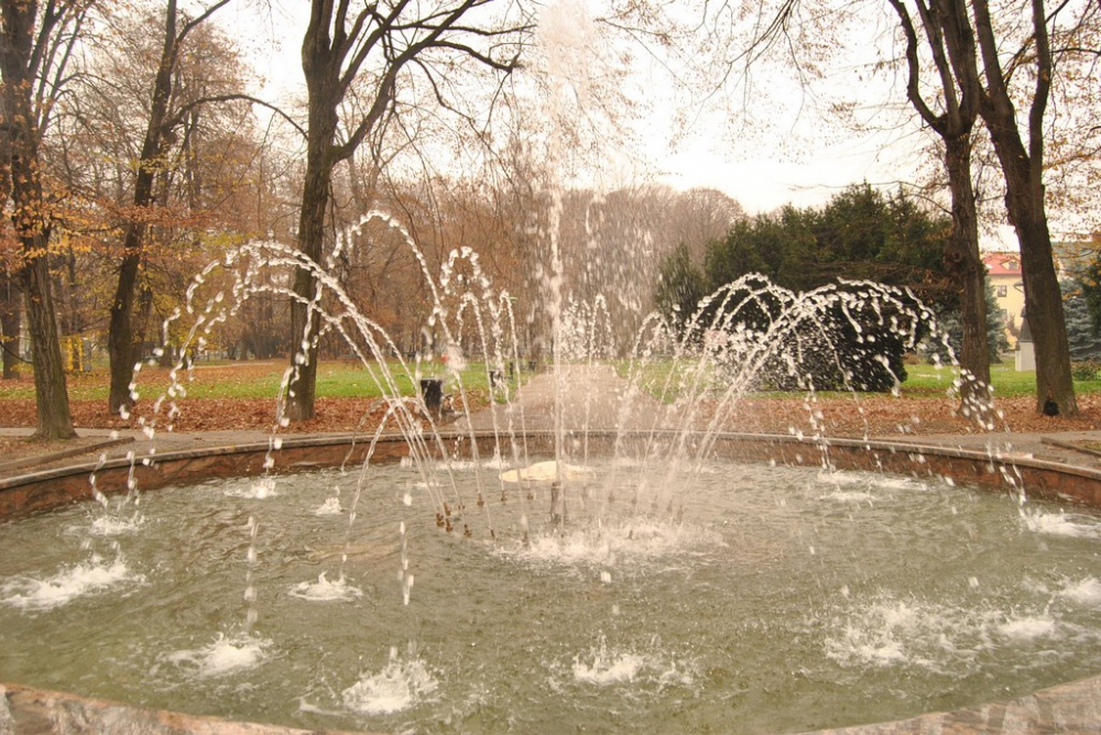 Ogród Miejski im. Solidarności (Solidarity City Garden)