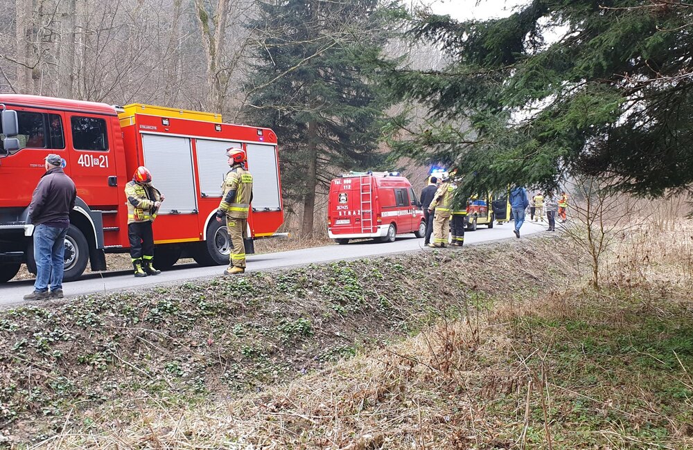 fot. Komenda Powiatowa Państwowej Straży Pożarnej w Ustrzykach Dolnych