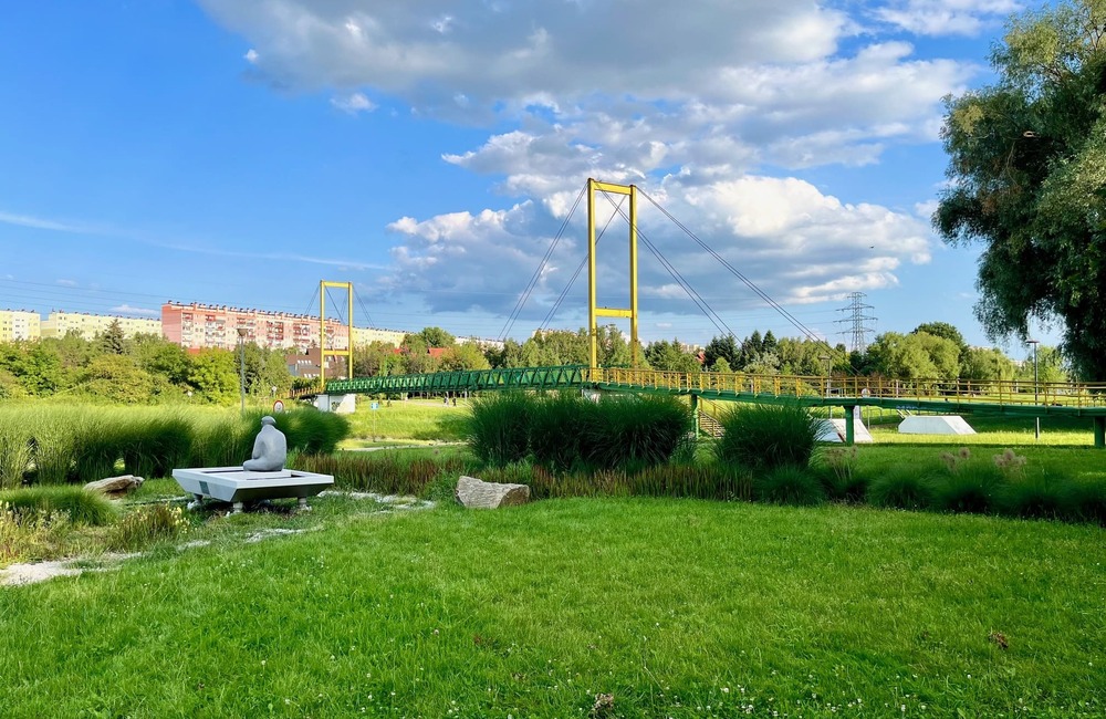 Rzeszowskie Bulwary będą jeszcze bardziej zielone i kolorowe. Posadzą prawie 30 tys. roślin