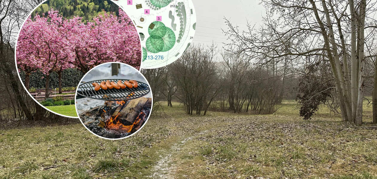 fot. RESinet.pl / Pixabay / ZZM