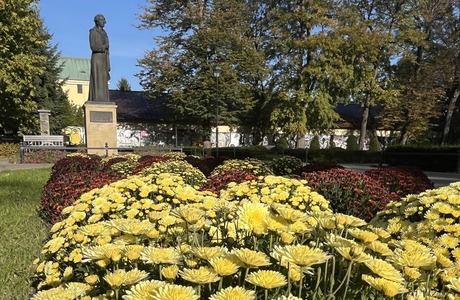 Jesienne nasadzenia w Rzeszowie. Ponad 3 tysiące chryzantem ozdobi miasto Jesienne zasadzenia w Rzeszow, fot. Zarzą Zieleni Miejskiej