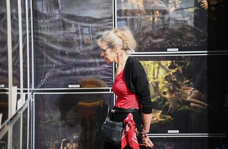 Wernisaż wystawy w Galerii WDK / fot. Monika Zając-Czerkies