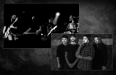 The Materia i Tribute to Siekiera w line-upie Rockowej Nocy