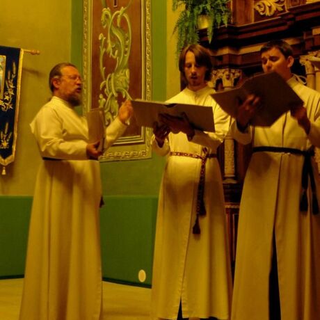 Festiwal Muzyki Dawnej "Pieśń Naszych Korzeni" - Jarosław - 23-30.08.2009 - fot 52