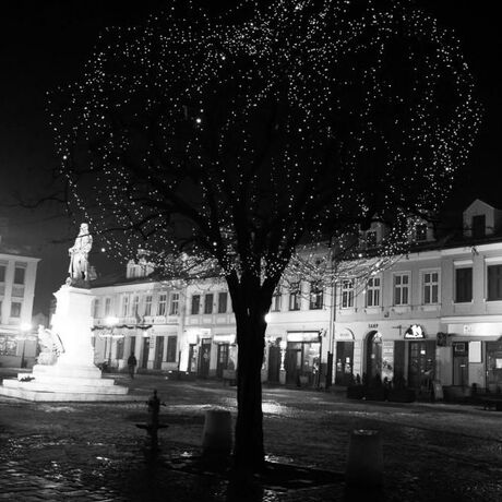 Rzeszów przedświąteczny - Rynek i okolice - Rzeszów - 8.12.2010 - fot 11