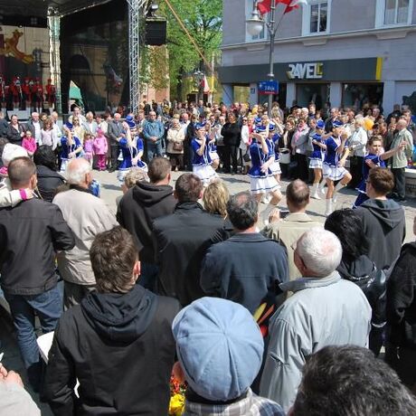 Święto Paniagi - Rzeszów 2011 - fot 1