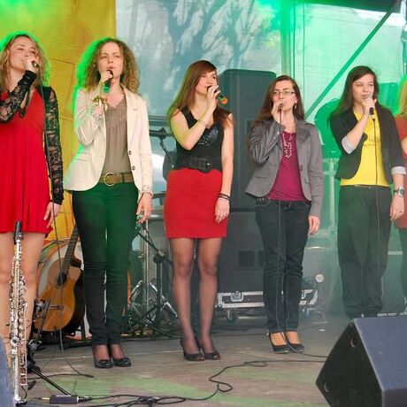 Święto Paniagi - Rzeszów 2011 - fot 13