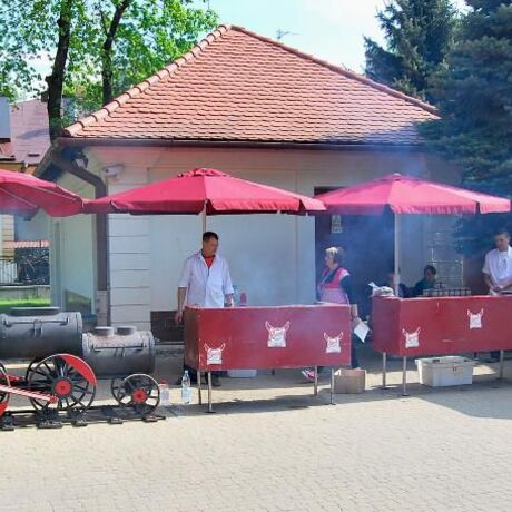 Święto Paniagi - Rzeszów 2011 - fot 8