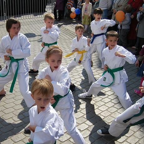 Święto Paniagi - Rzeszów 2011 - fot 6
