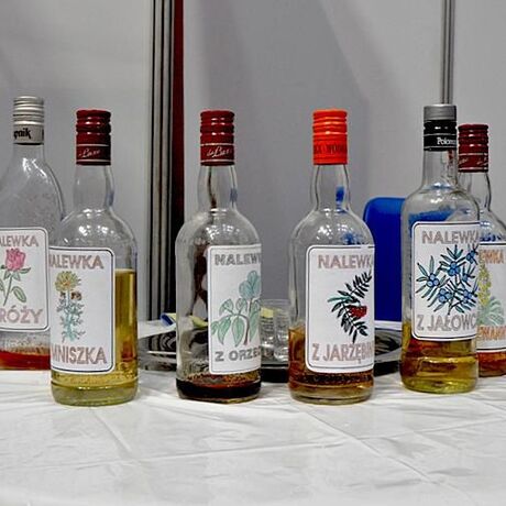 EKOGALA 2011 - fot 17