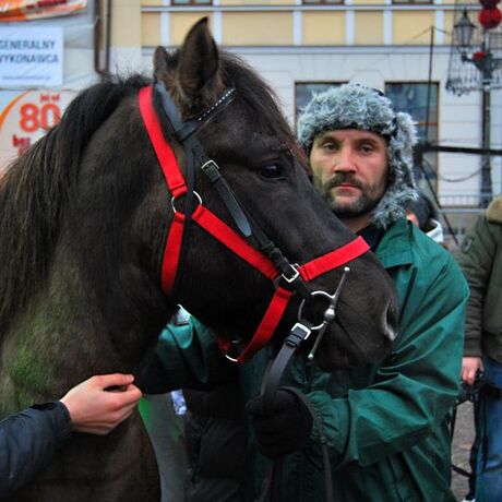 XX Finał WOŚP - Rzeszów - Rynek - 8.01.2012 - fot 8
