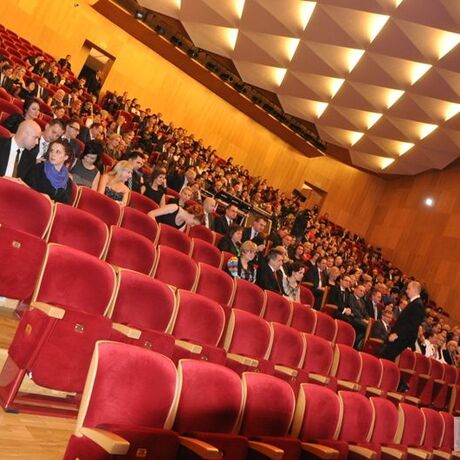 IV GALA VIPa - fot 8