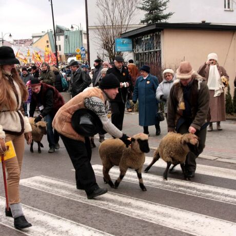 Orszak Trzech Króli w Rzeszowie - fot 56