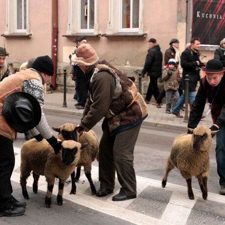 Orszak Trzech Króli w Rzeszowie - fot 55
