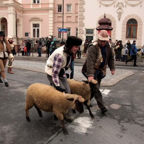 Orszak Trzech Króli w Rzeszowie - fot 54